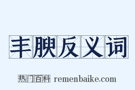 丰腴反义词是什么意思的图片